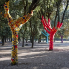 Back to Nature 2021.Accademia di Aracne - Yarn bombing, 2020 Filo di lana