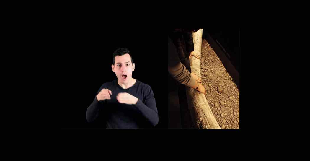 Due momenti dei nuovi percorsi per persone sorde e per ciechi ed ipovedenti presso il museo di Casal de’ Pazzi Due momenti dei nuovi percorsi per persone sorde e per ciechi ed ipovedenti presso il museo di Casal de’ Pazzi