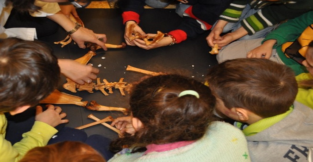 Scienza divertente “a caccia di reperti” Scienza divertente “a caccia di reperti”