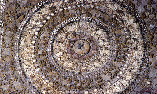 Ninfeo degli Annibaldi