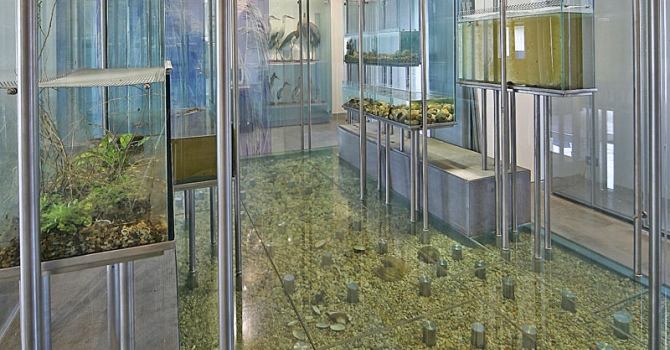 Sala degli Acquari. Museo del Fiume, Nazzano (RM). Foto Massimo Tomasini. Sistema museale RESINA, Regione Lazio