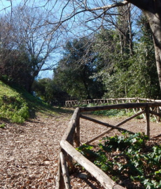 Ascesa al Monte Testaccio Ascesa al Monte Testaccio
