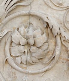 dettaglio del fregio vegetale dell’Ara Pacis