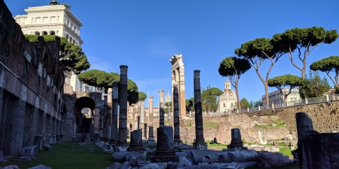 VEDUTA DEL FORO DI CESARE DA SUD. IN ALTO A SINISTRA LA BASILICA ARGENTARIA VEDUTA DEL FORO DI CESARE DA SUD. IN ALTO A SINISTRA LA BASILICA ARGENTARIA
