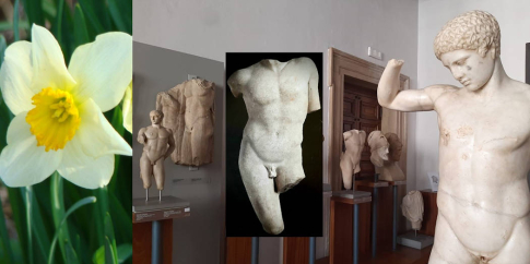 Museo Barracco, sala V, particolare Torso di Narciso