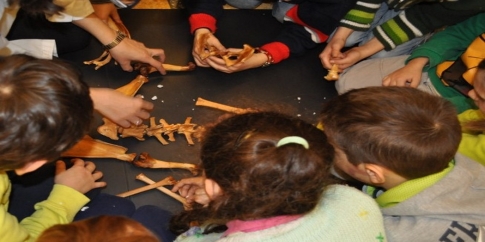 Scienza divertente “a caccia di reperti” 