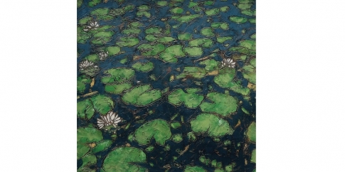 Opera dell'artista Garth Speight