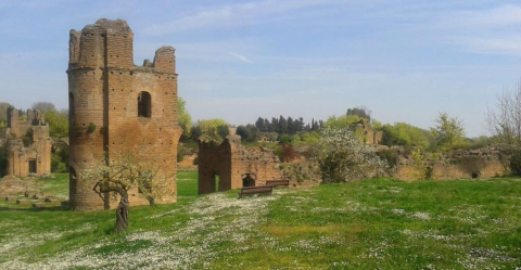 Il circo di Massenzio Il circo di Massenzio