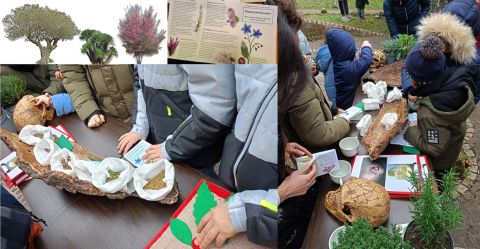 ) L’ulivo, la palma nana, l’albero di Giuda, e le esperienze multisensoriali al Museo di Casal de’ Pazzi sulle erbe e piante utilizzate nel Pleistocene dalle comunità neandertaliane ) L’ulivo, la palma nana, l’albero di Giuda, e le esperienze multisensoriali al Museo di Casal de’ Pazzi sulle erbe e piante utilizzate nel Pleistocene dalle comunità neandertaliane