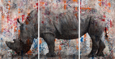 Manuel Felisi, Rinoceronte, 2020, tecnica mista su tavola