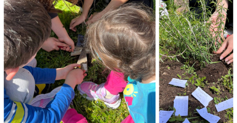 Giornata della Terra – Piantiamo il Futuro imparando dal Passato
