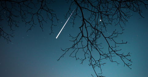 Quando cadono le stelle Quando cadono le stelle