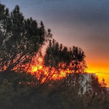 Foto di paola_cencia - Eur Laurentina