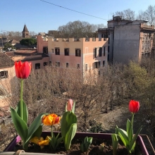 Foto di dalia.sestieri - Trastevere