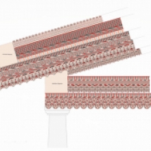 L’Acropoli della città e la Casa degli Dei