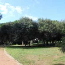 Villa Flora, il parco