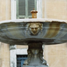 Fontana in piazza delle Cinque Scole, particolare del catino superiore