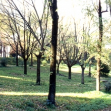 Parco di S.Sebastiano veduta