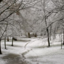 Foto della valle dei platani, nevicata 2010