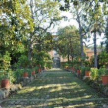 Villa Carpegna,vialetto di accesso all'ingresso posteriore del Casino nobile
