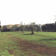 Villa Chigi, il parco