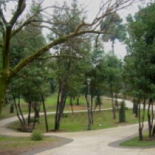 Foto Villa Leopardi, il parco