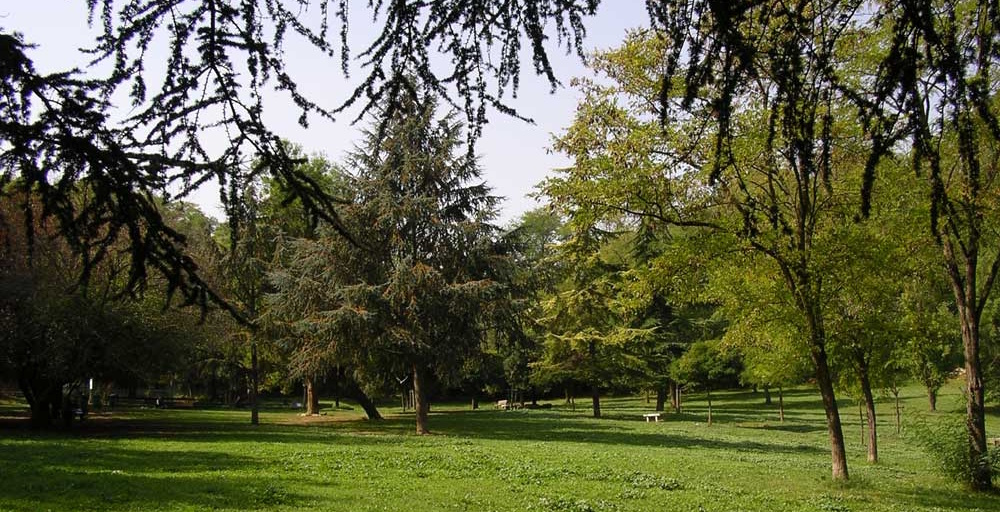 Villa Veschi Villa Veschi